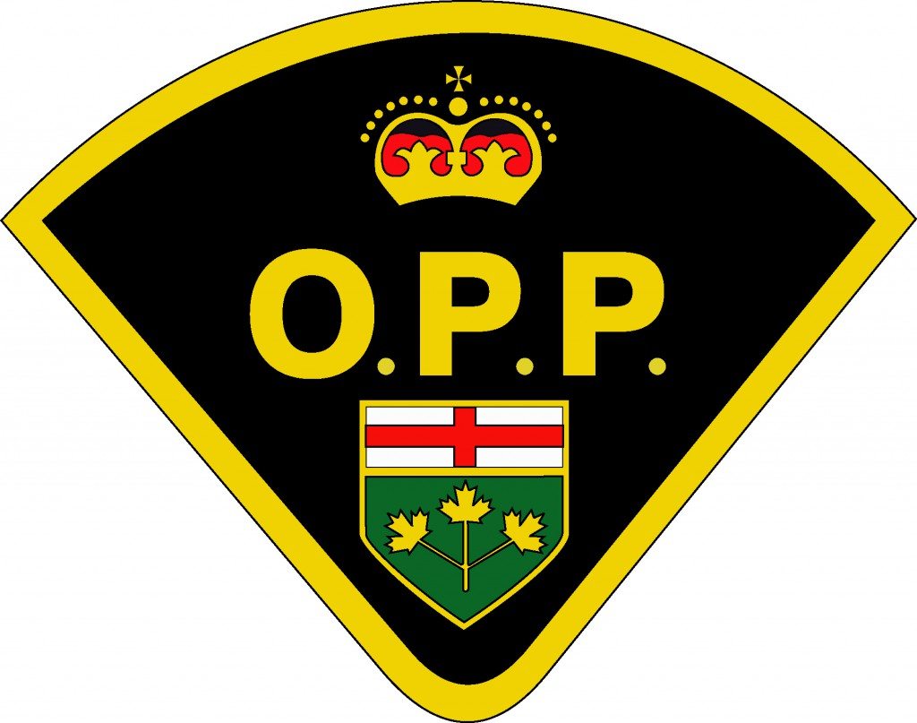 Suspected rifle turns out to be a pellet gun