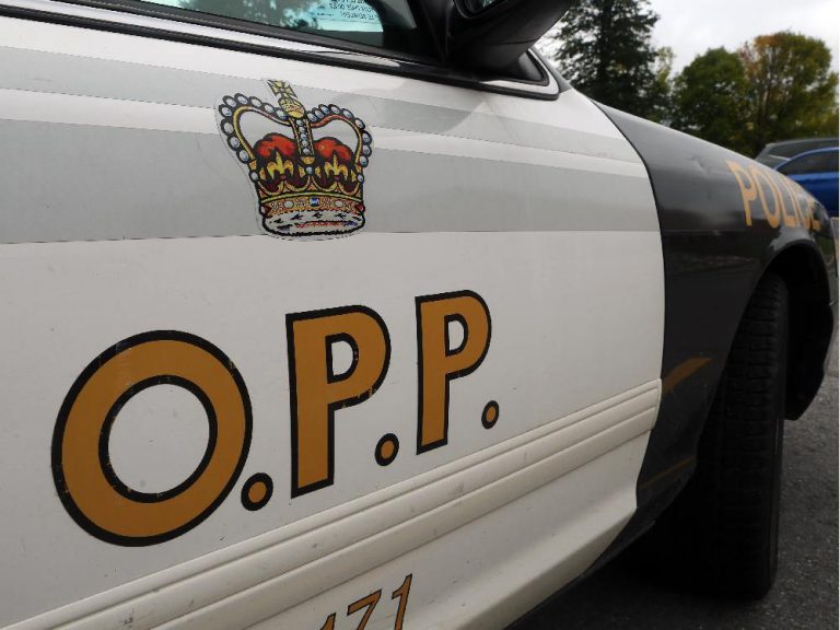 Elliot Lake OPP request public help in break & enter