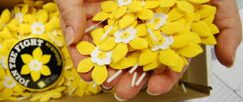 Daffodil Campaign Launch In Espanola My Espanola Now