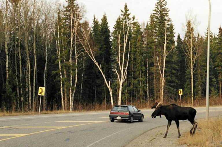 MNRF reminds drivers to be cautious on roads