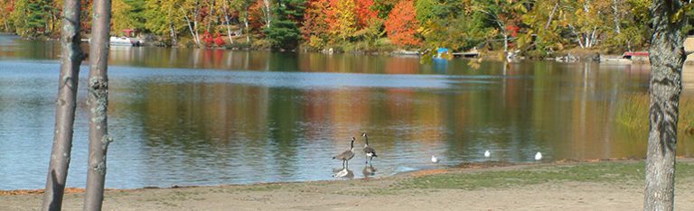 Public Health removes swimming advisory at Clear Lake Beach
