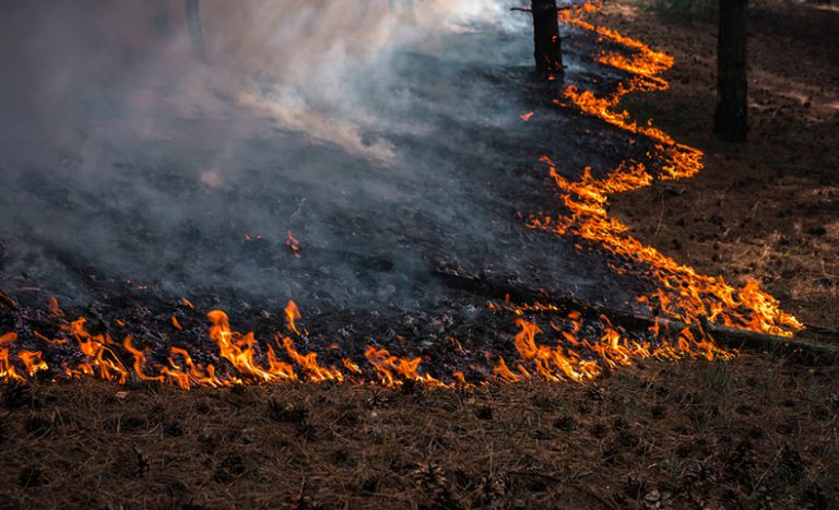 Ontario government commits $100 million to fight fires