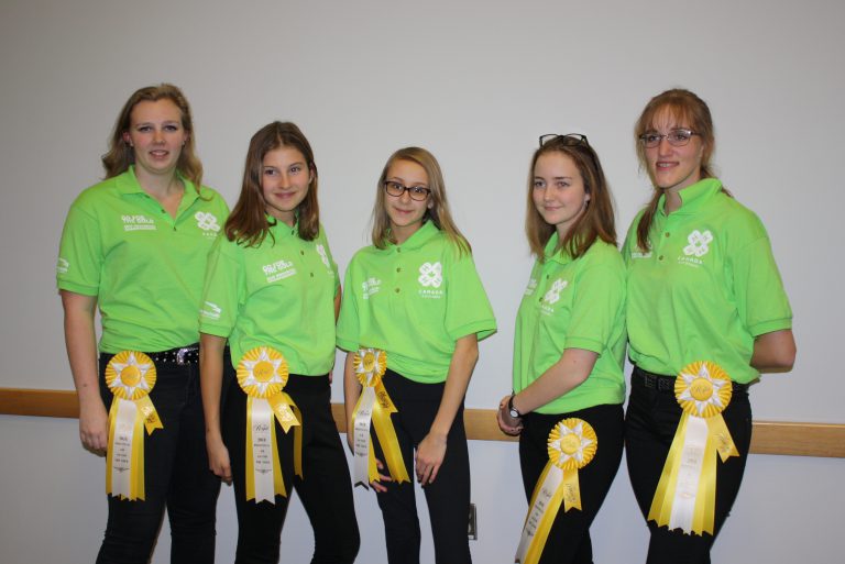 Sables-Spanish Rivers 4-H celebrates accomplishments
