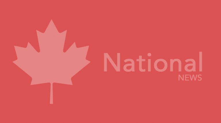 8 million people unable to talk to federal government over the phone last year;