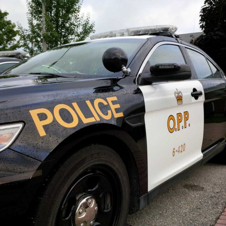 Traffic stop leads to drug bust