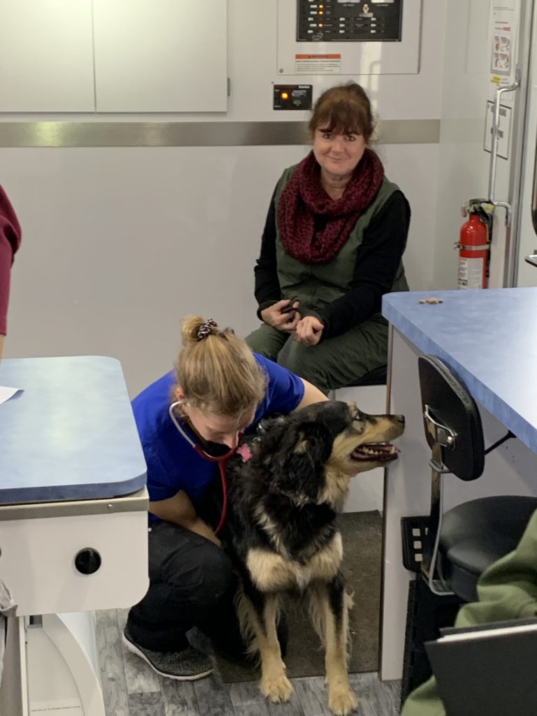 Going to the dogs … in a good way