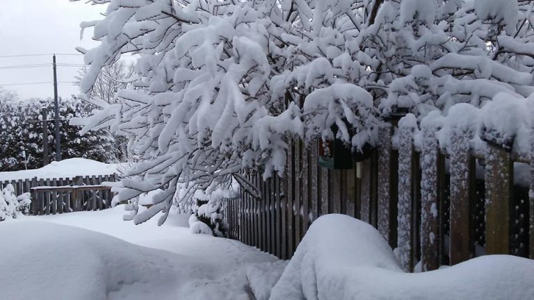 Snowfall warning in effect
