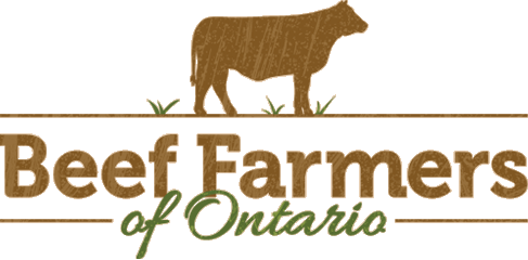 Ontario beef farming industry in crisis because of COVID-19