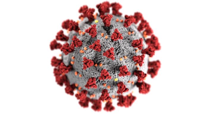 Ontario adds 370 cases of COVID-19; 500 recovered in past 24 hours