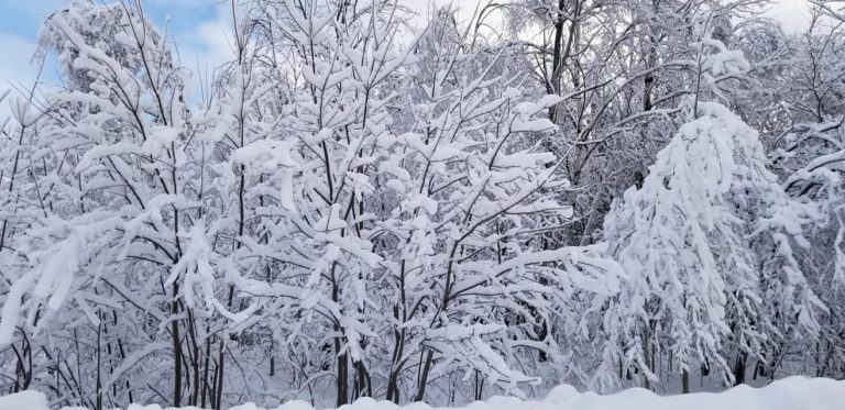 Snow Squall Warning issued for our entire listening area