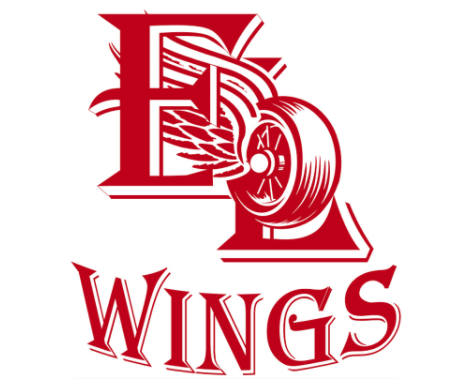 Red Wings postpone charity ball tournament