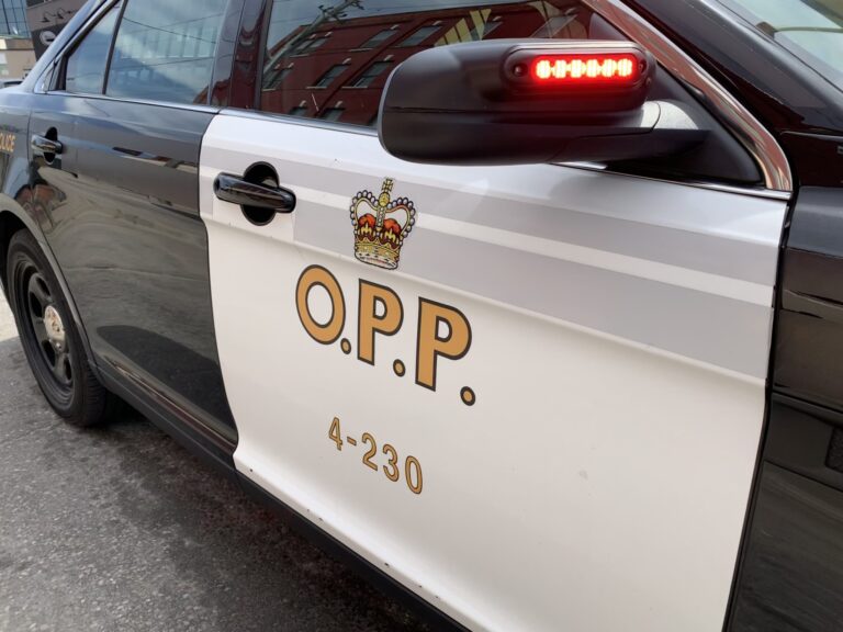 East Algoma OPP investigating a cruelty to animals incident