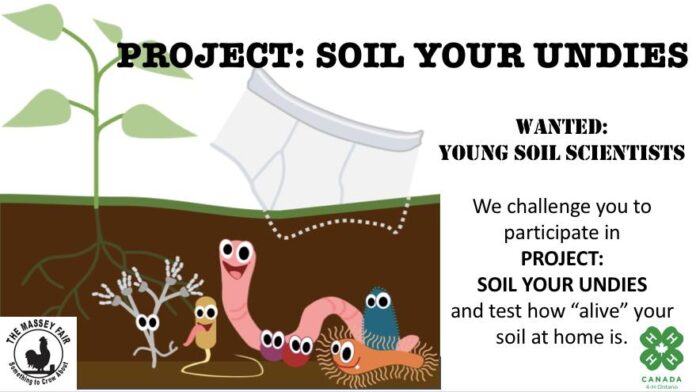 SOIL YOUR UNDIES