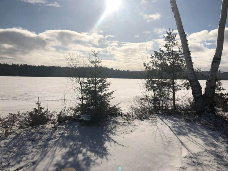 Snow squall warnings for Elliot Lake and Blind River corridor, as well as Manitoulin Island